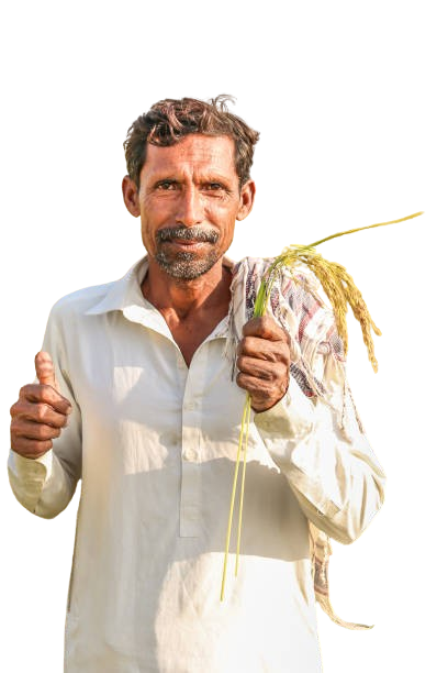 istockphoto 1213176536 612x612 removebg preview